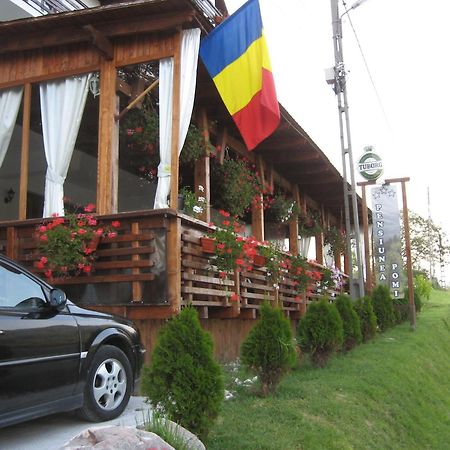 Pensiunea Pomi -Oesti Hotell Albestii Paminteni Exteriör bild