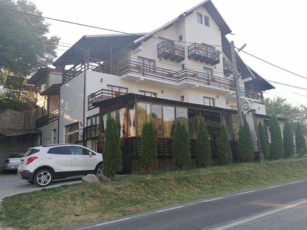 Pensiunea Pomi -Oesti Hotell Albestii Paminteni Exteriör bild